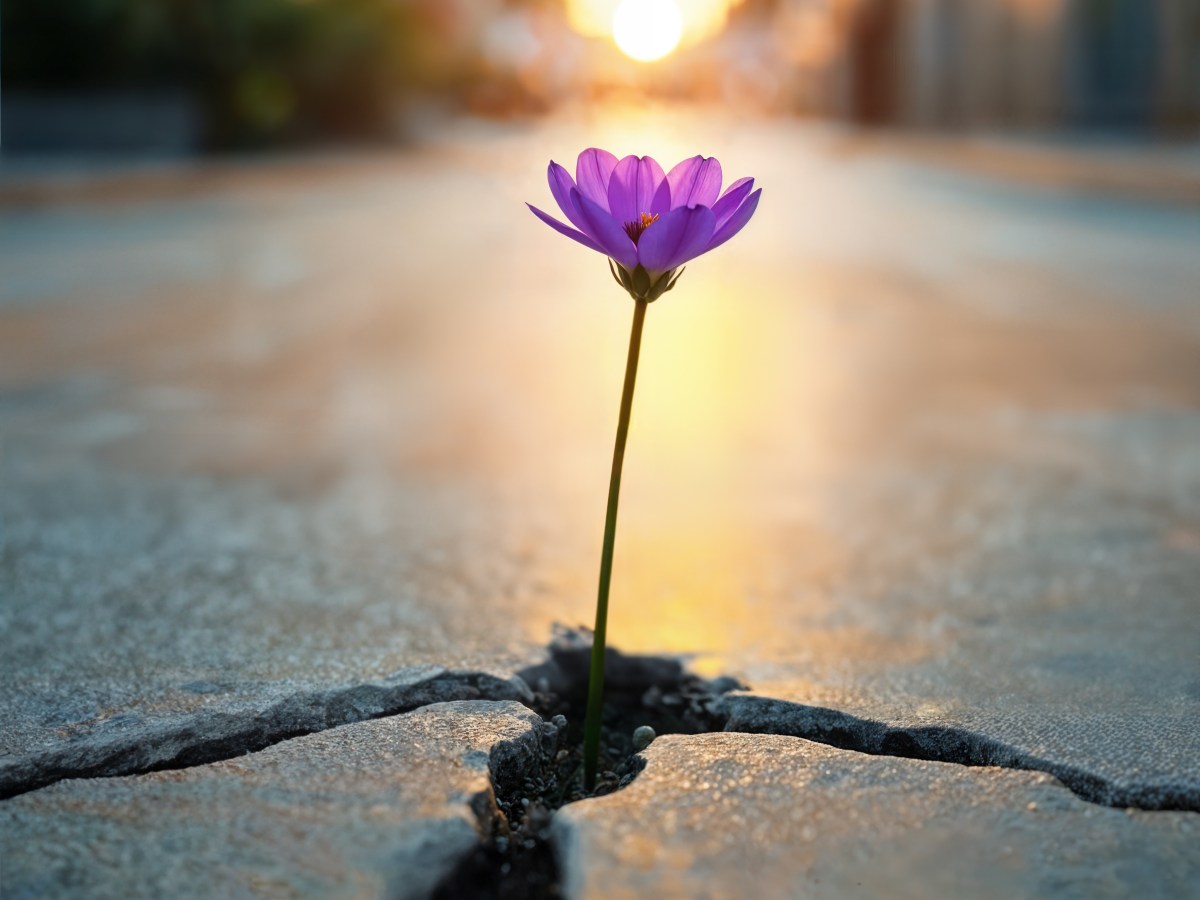 GENNAIO. Ripartire insieme: l’empatia come bussola per il nuovo anno&nbsp;scolastico